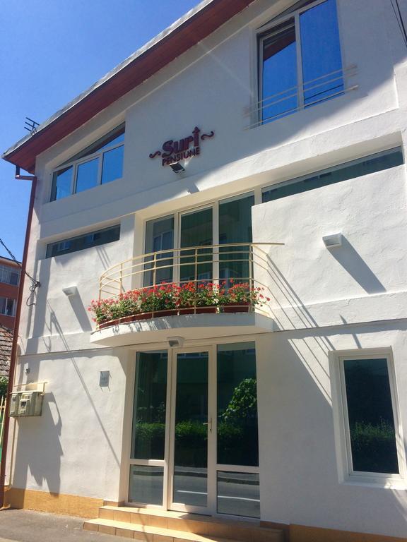 Suri Guesthouse Брашов Екстериор снимка